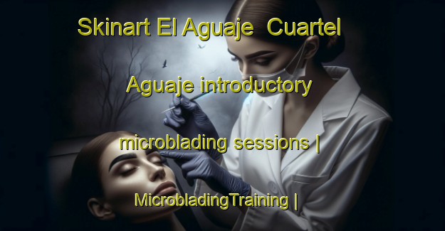 Skinart El Aguaje  Cuartel Aguaje introductory microblading sessions | MicrobladingTraining | MicrobladingClasses | SkinartTraining-Mexico